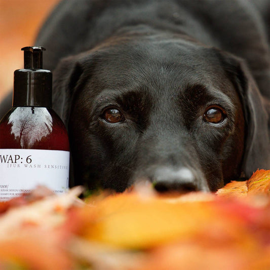 WAP: 6 Fur Wash Sensitive 250ml