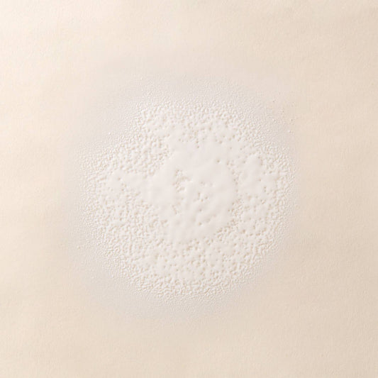 Living Proof No Frizz Smooth Styling Spray 198ml