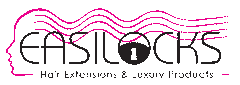 Easilocks Logo