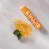 Burt's Bees Beeswax Lip Balm Tube