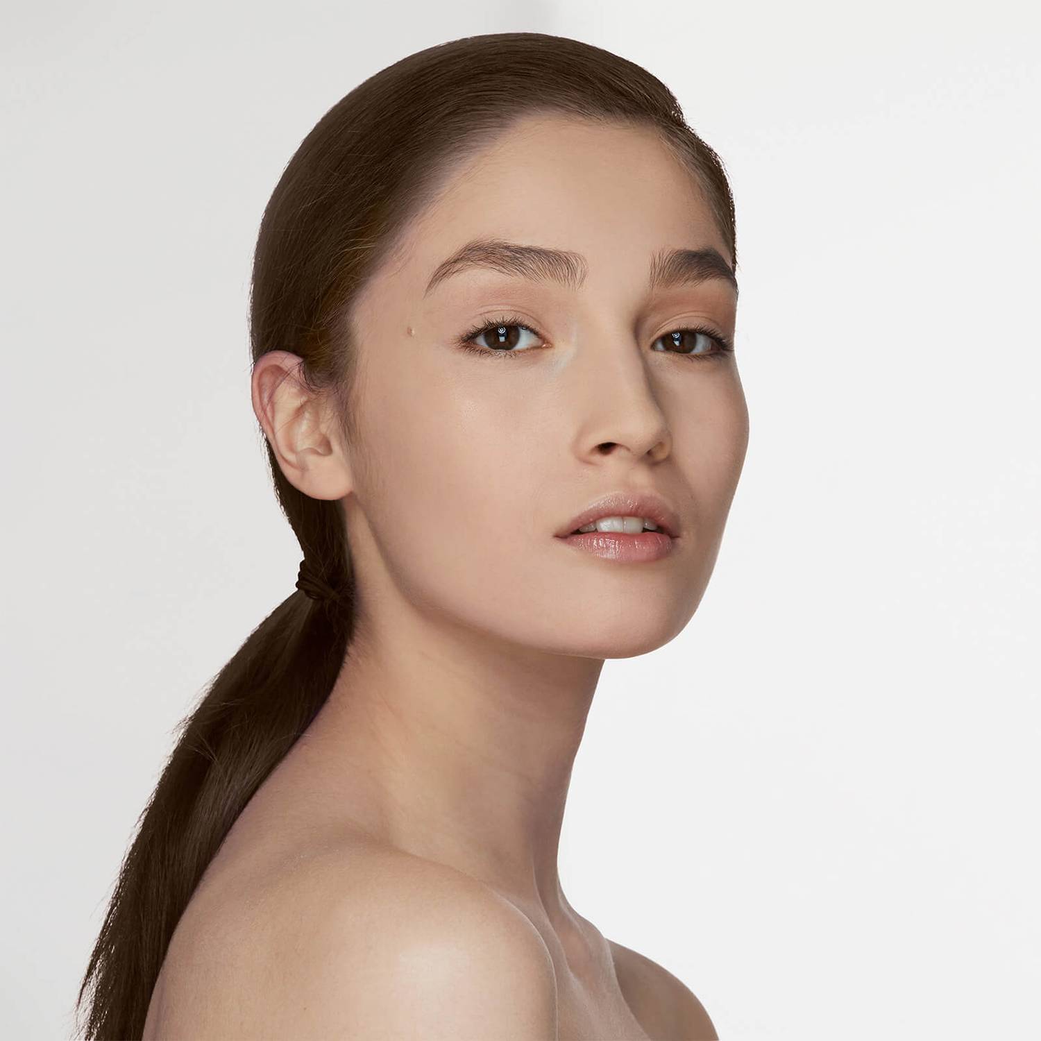 2C4 Ivory Rose 2C4 Ivory Rose