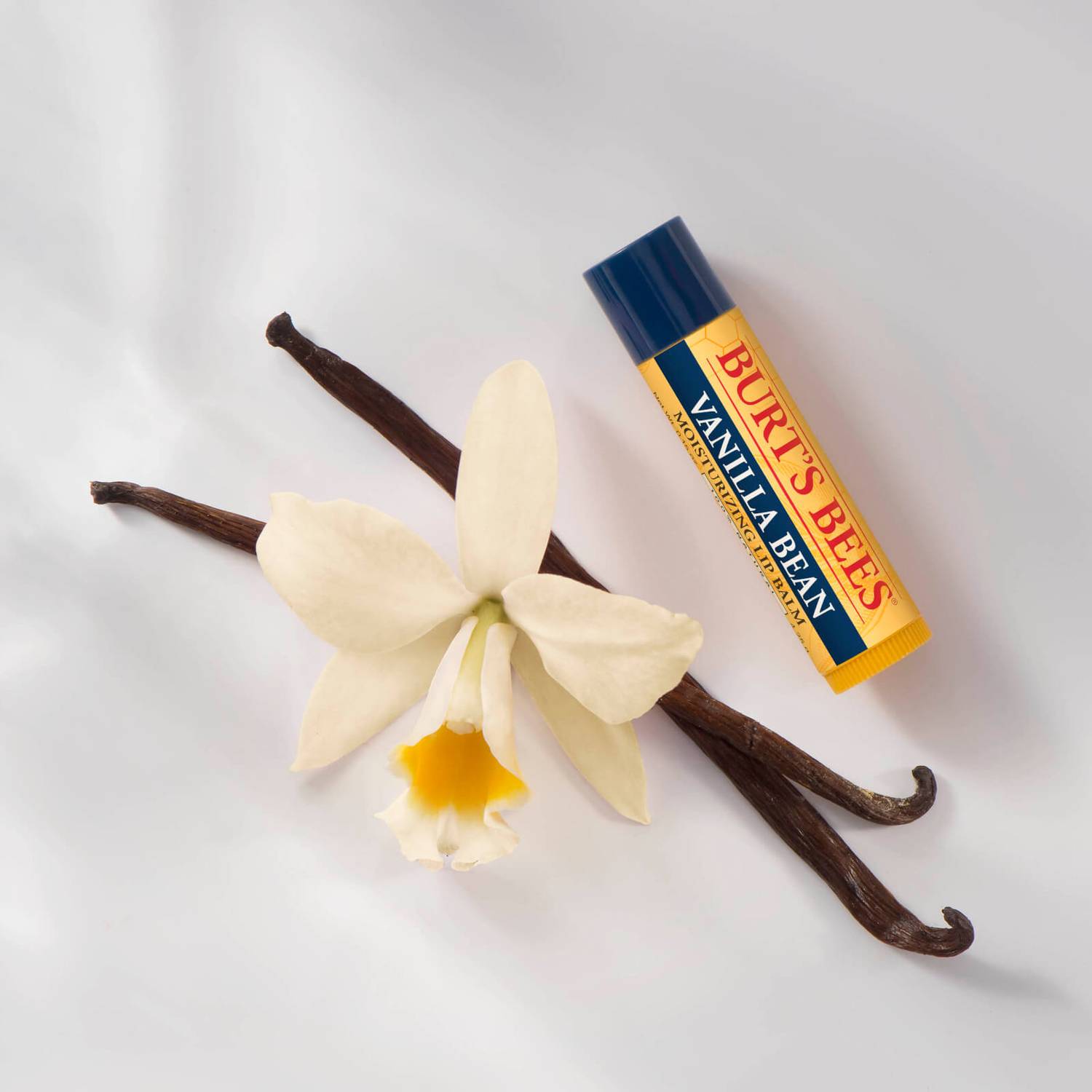 Burt's Bees Vanilla Bean Lip Balm