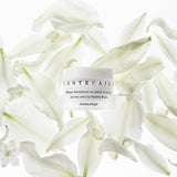 Chantecaille Jasmine & Lily Healing Mask 50ml