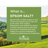 Westlab Epsom Salt 1kg