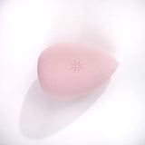 brushworks Complexion Sponge