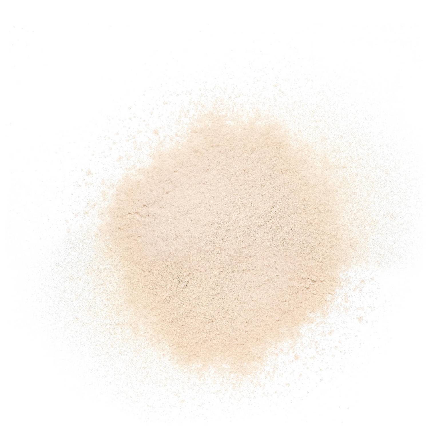 delilah Micro-Fine Loose Powder Translucent 14g