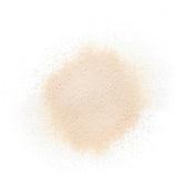 delilah Micro-Fine Loose Powder Translucent 14g