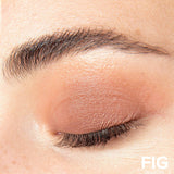 Fig