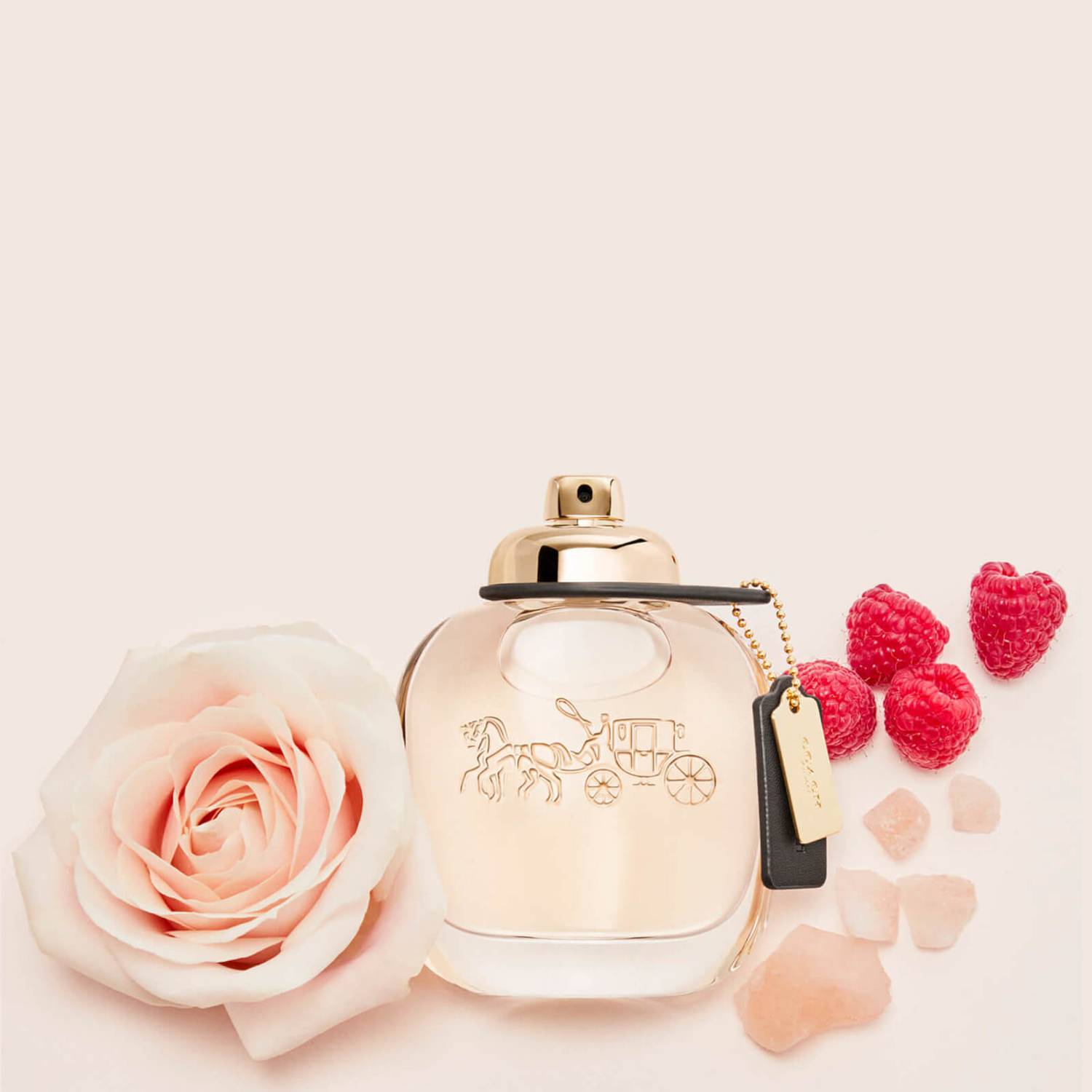 Coach Eau de Parfum 30ml