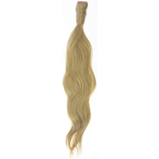 Easilocks x Jordyn Woods Ponytail - Sand Vanilla