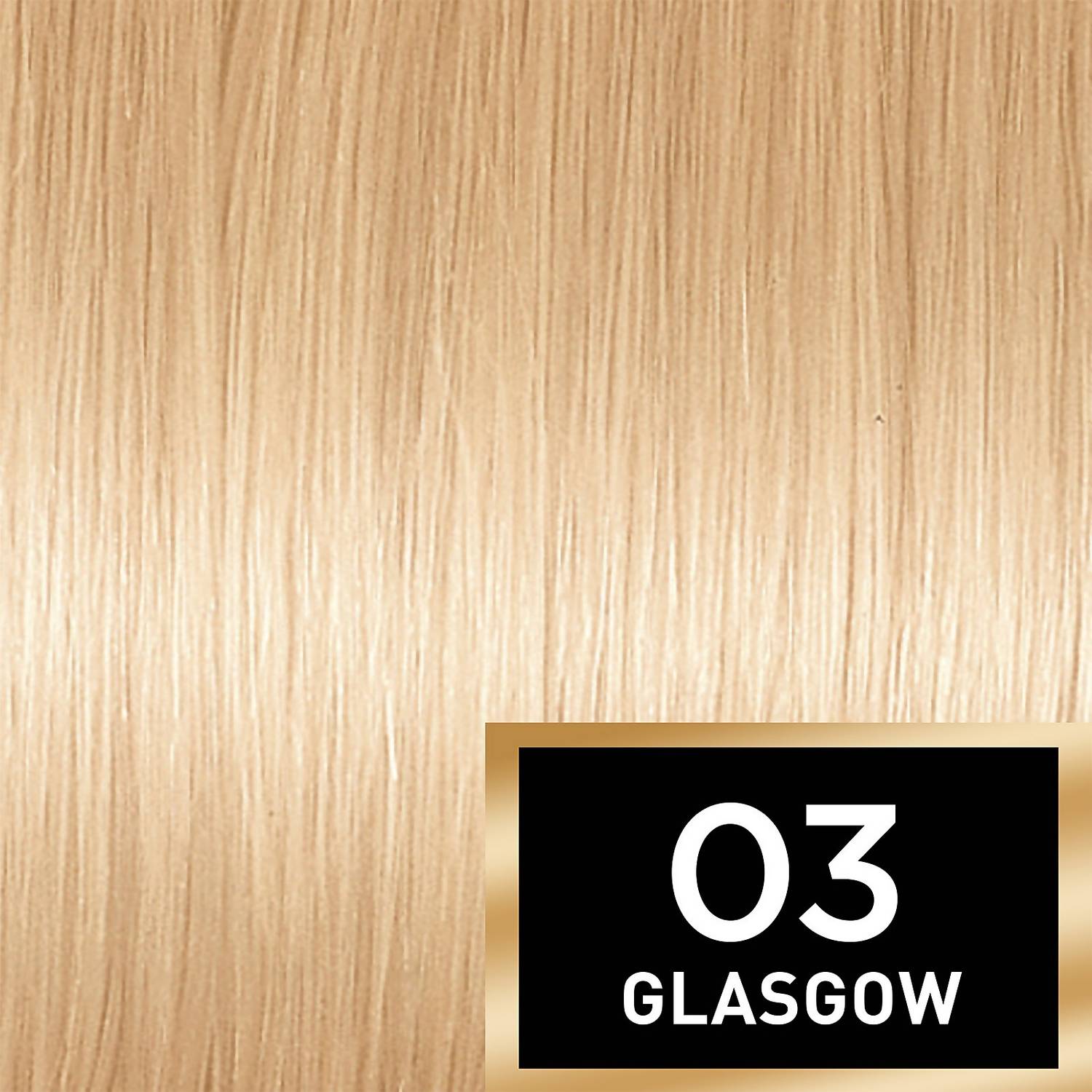 03 Lightest Ash Blonde