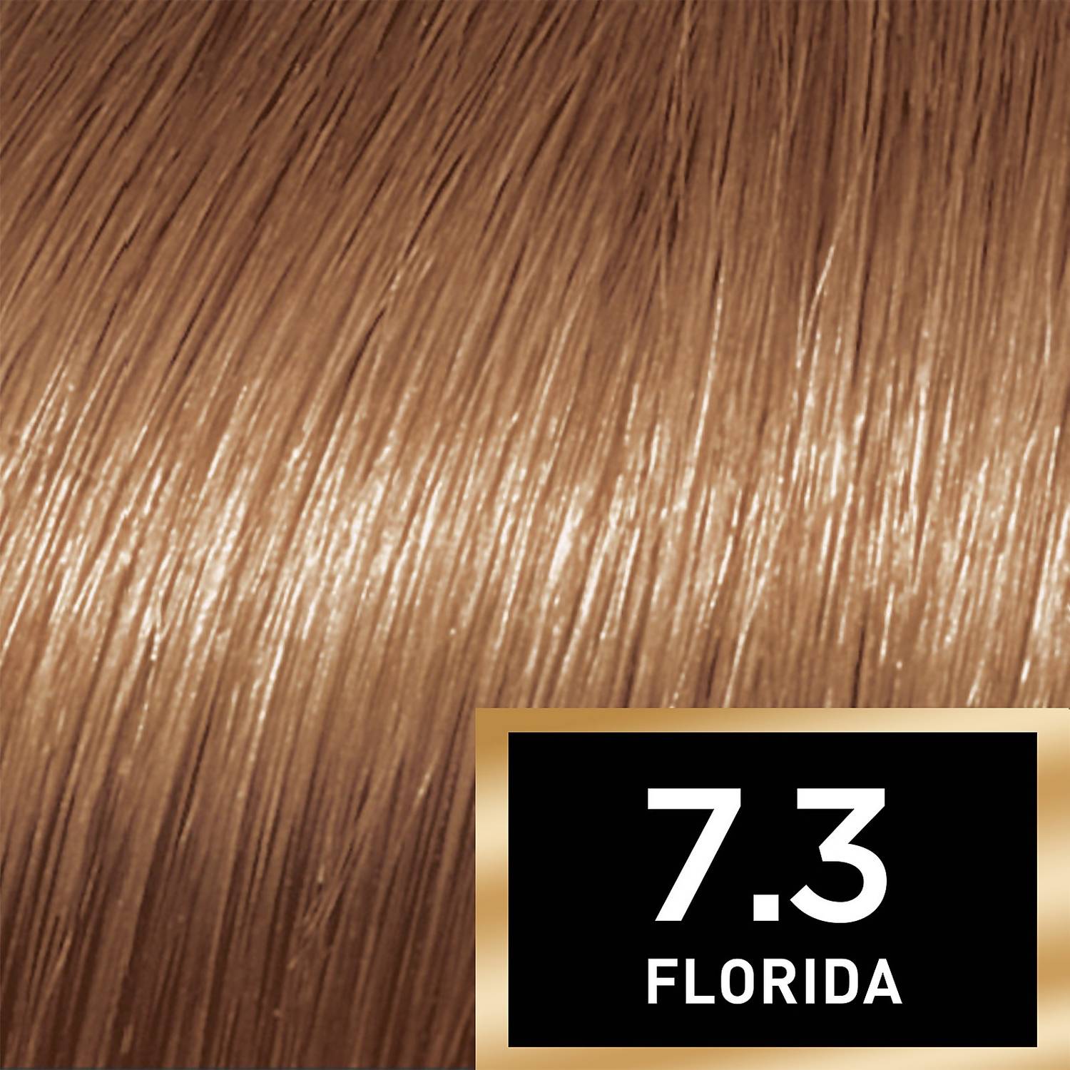 7.3 Florida Honey Blonde