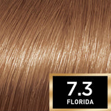 7.3 Florida Honey Blonde