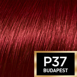 3.66 Dark Red Ultra Violet