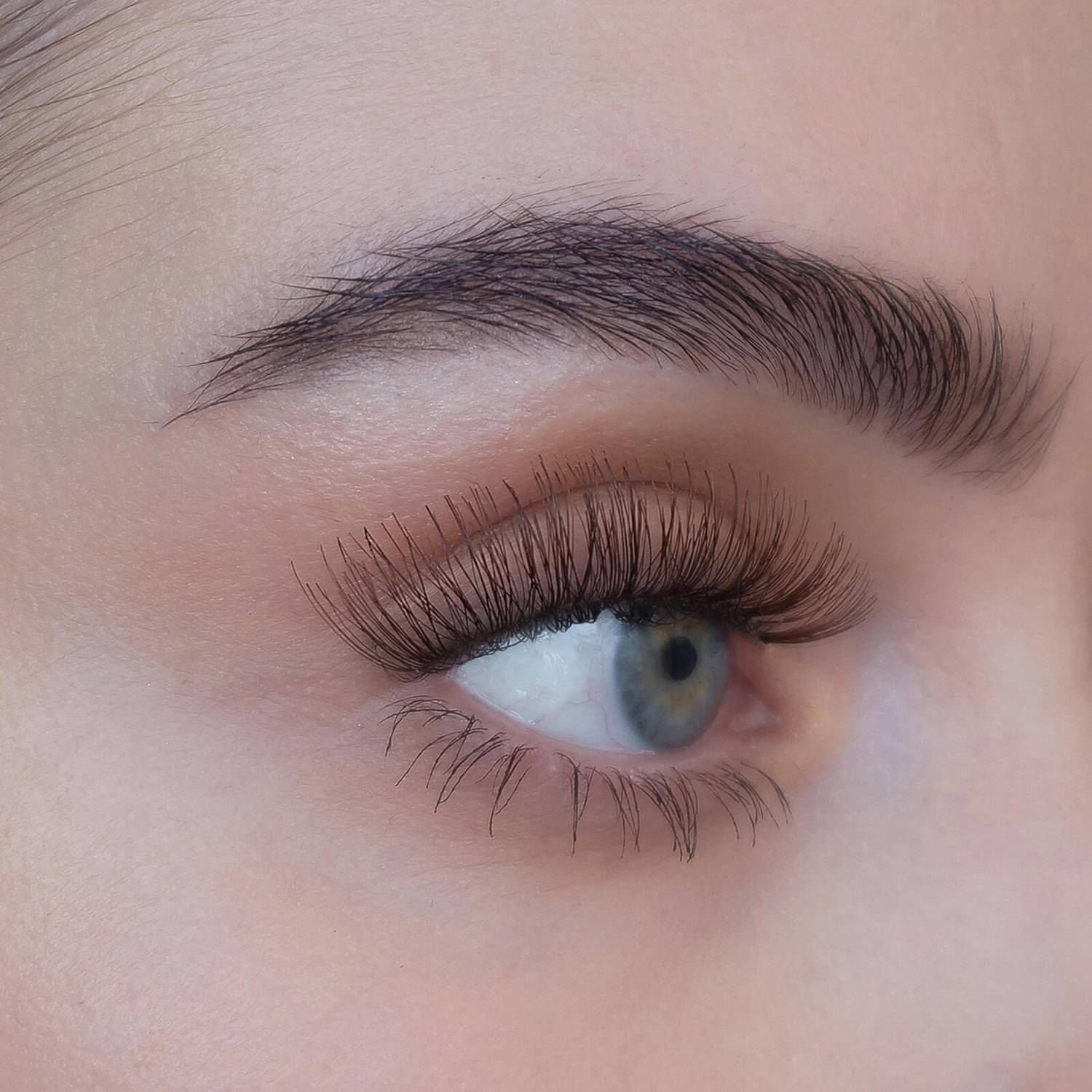 Sweed Lashes Caro - Brown