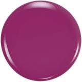 Pretty as Plum 360