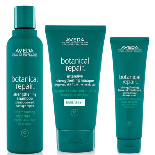 Aveda Botanical Repair Routine