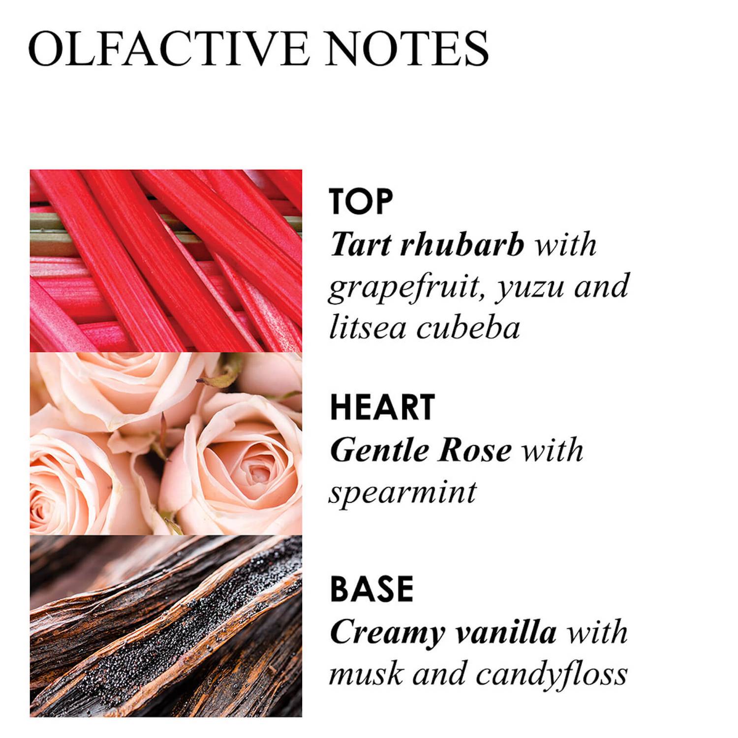 Rhubarb & Rose