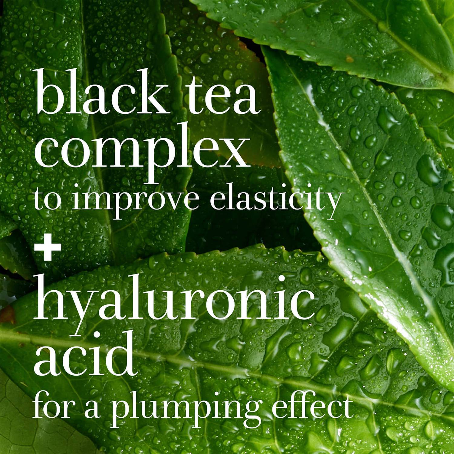 Fresh Black Tea Instant Perfecting Mask 100ml