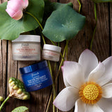 Fresh Lotus Youth Preserve Eye Cream 15ml