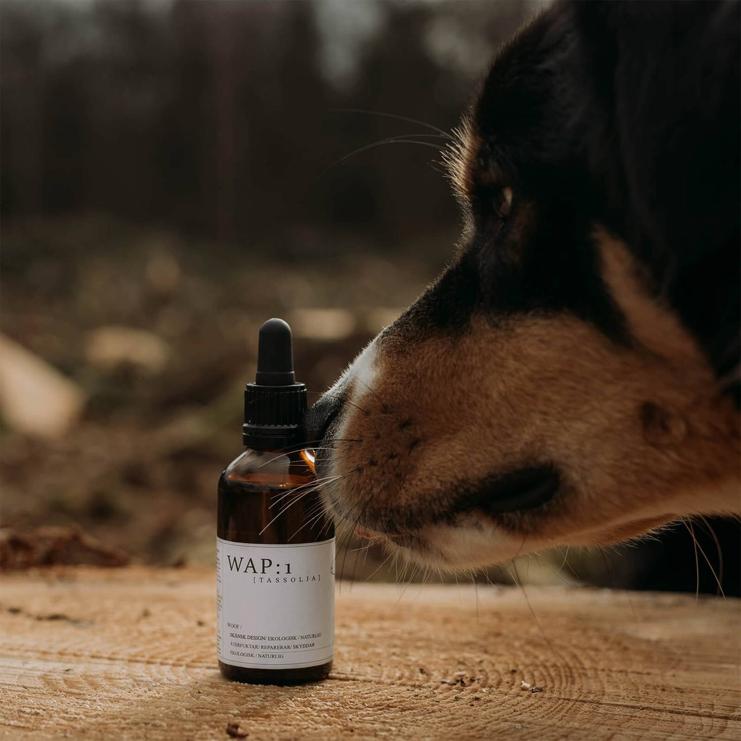 WAP: 1 Paw Oil 50ml