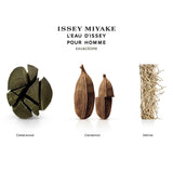 Issey Miyake L'Eau D'Issey Eau and Cèdre Eau de Toilette Intense 100ml