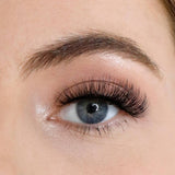 Lola's Lashes L.W.I Queen Me Russian Strip Lashes