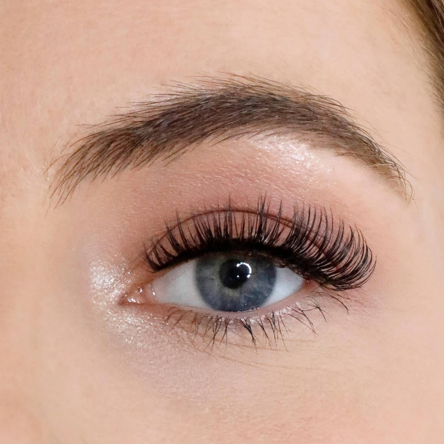 Lola's Lashes L.W.I Worth it Russian Magnetic Lashes