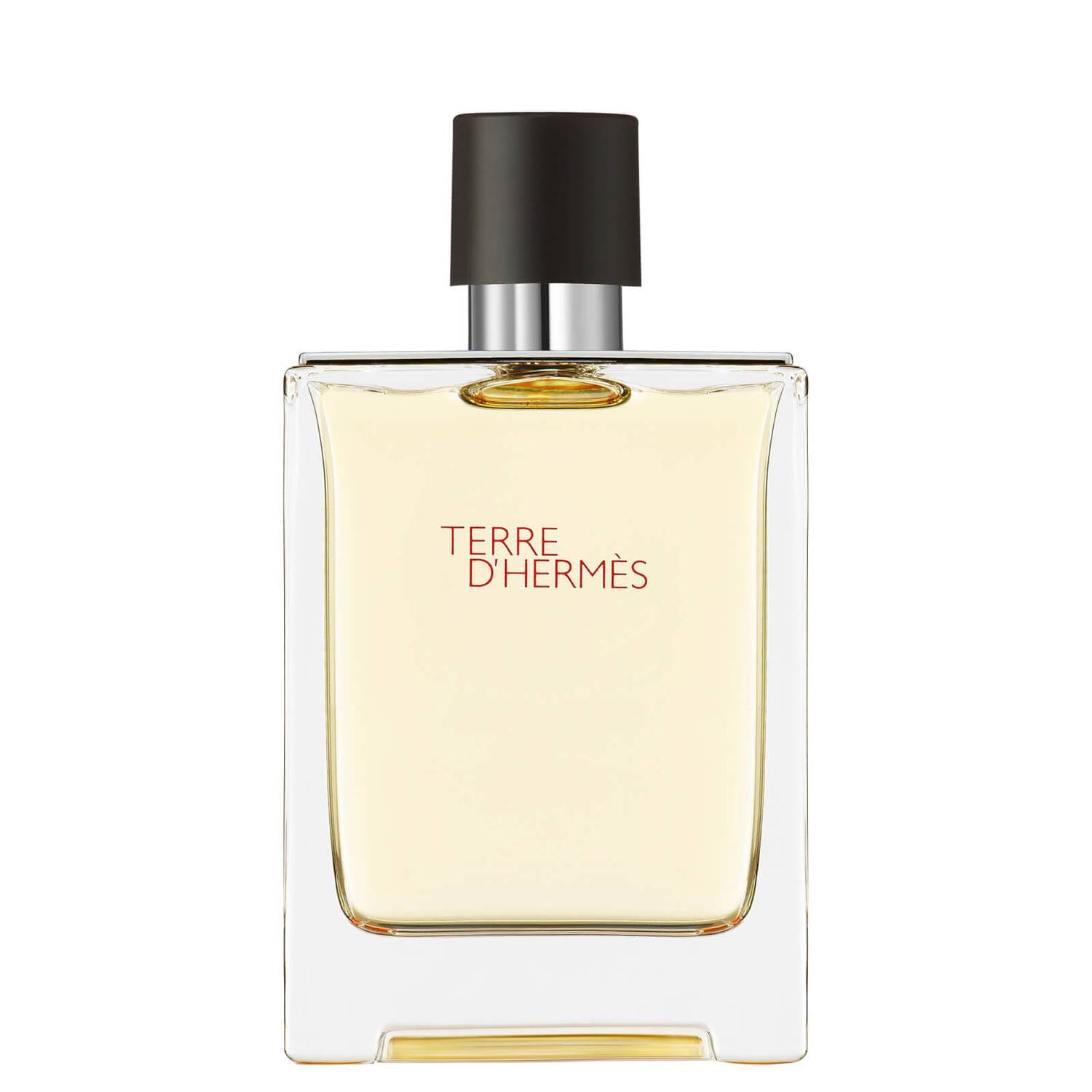 Hermès Terre d'Hermès Eau de Toilette 100ml