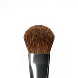 Anastasia Beverly Hills A16 Pro Brush - Large Shadow Brush