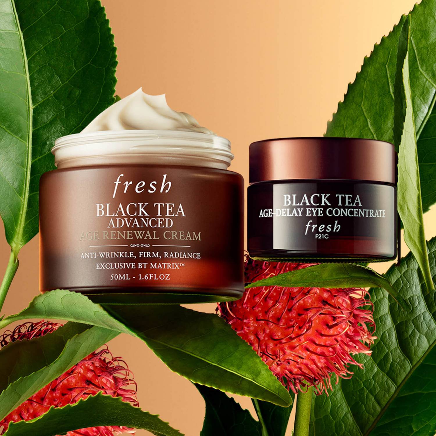 Fresh Black Tea Advanced Age Renewal Cream 50ml