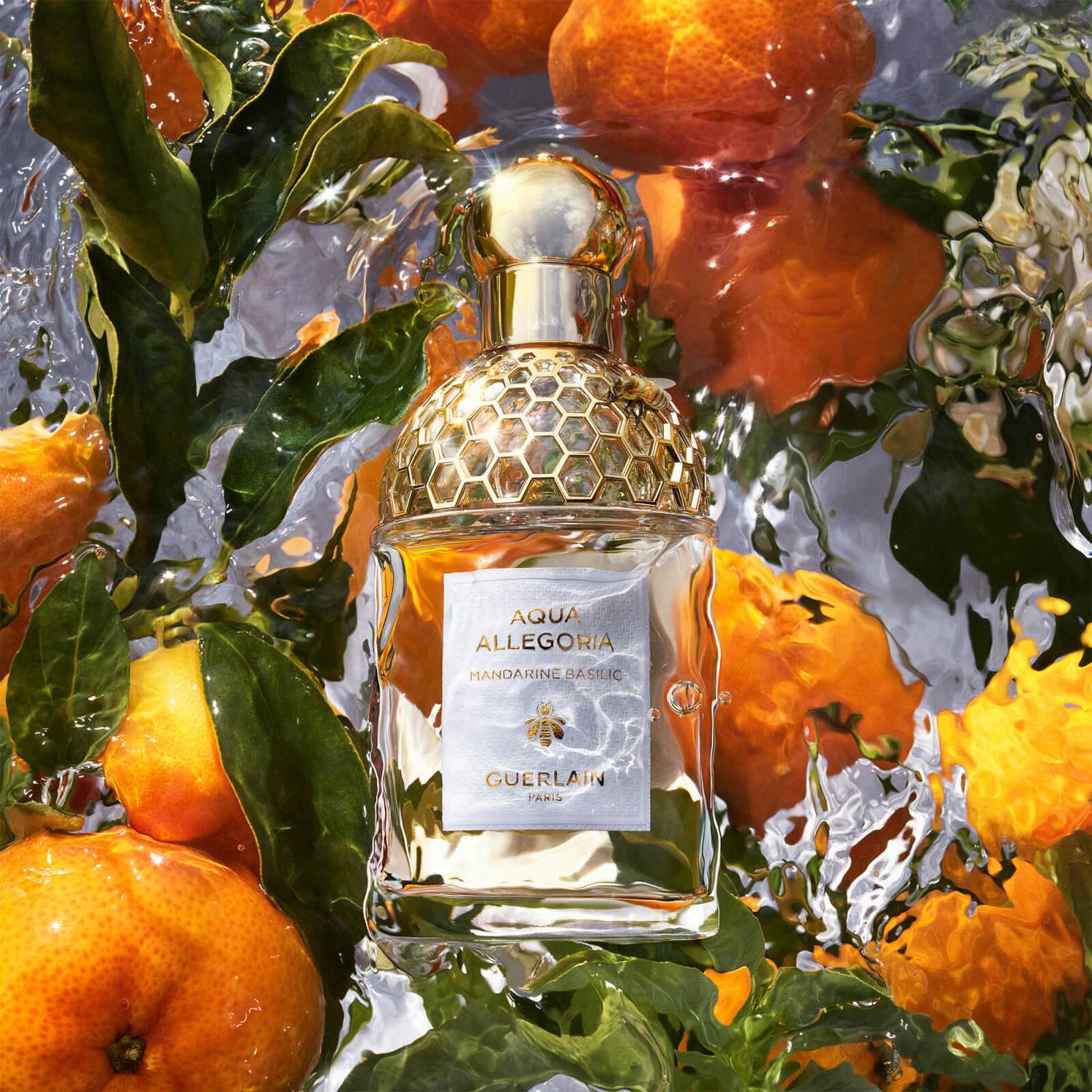 GUERLAIN Aqua Allegoria Mandarine Basilic Eau de Toilette Set