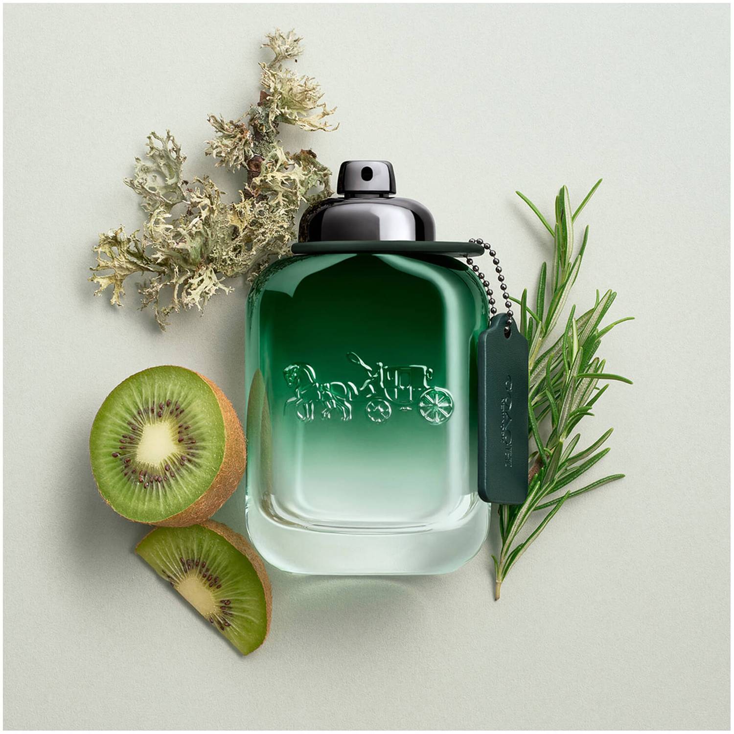 Coach Green Eau de Toilette 100ml